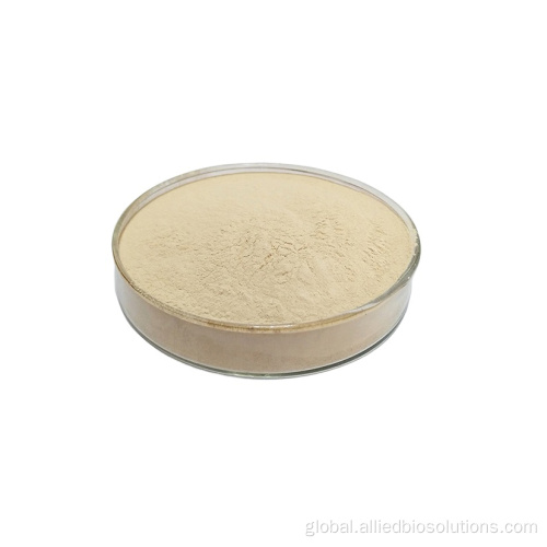 Food Emulsifying Agent Best quality gelatin powder Supplier